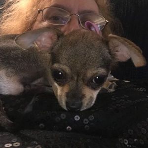 Meet your Posher, Pam